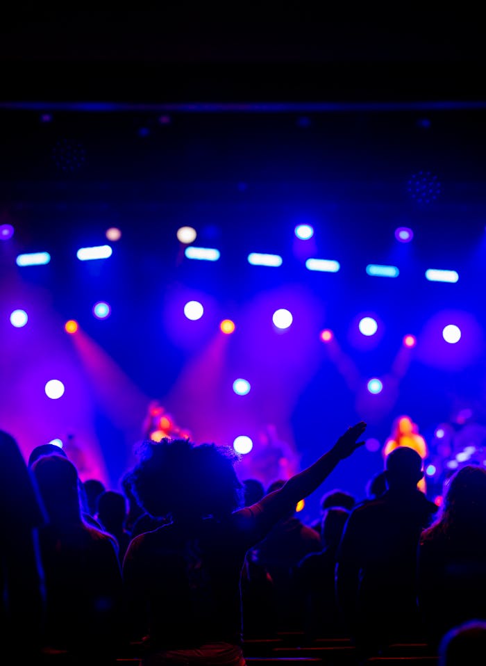 Pexels Photo 10206927